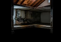 Mold Prevention A Guide